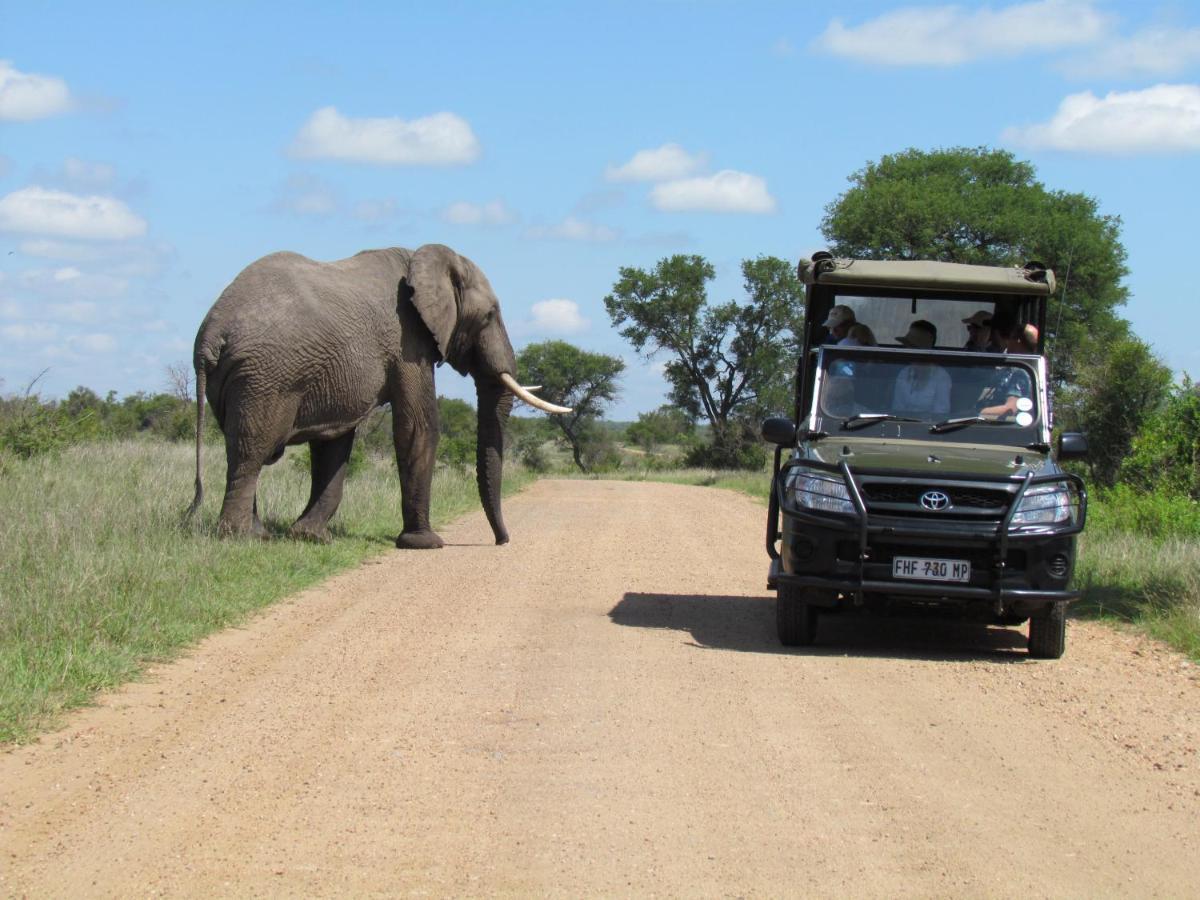 Willa Nkambeni Safari Camp Mtimba Zewnętrze zdjęcie